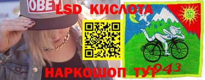 spice Кунгур