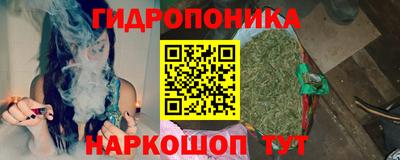 spice Кунгур