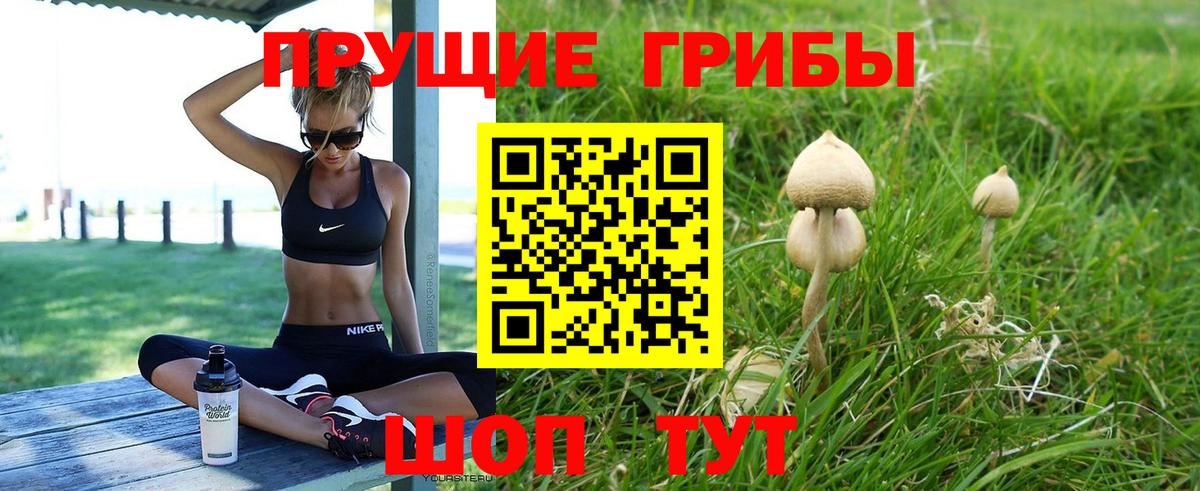 Псилоцибиновые грибы Psilocybine cubensis  Вход с VPN  Дзержинский 